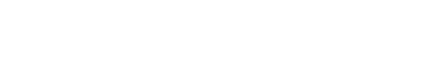 David Logo New